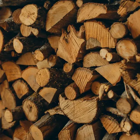 Mappamundi San Benedetto Val di Sambro