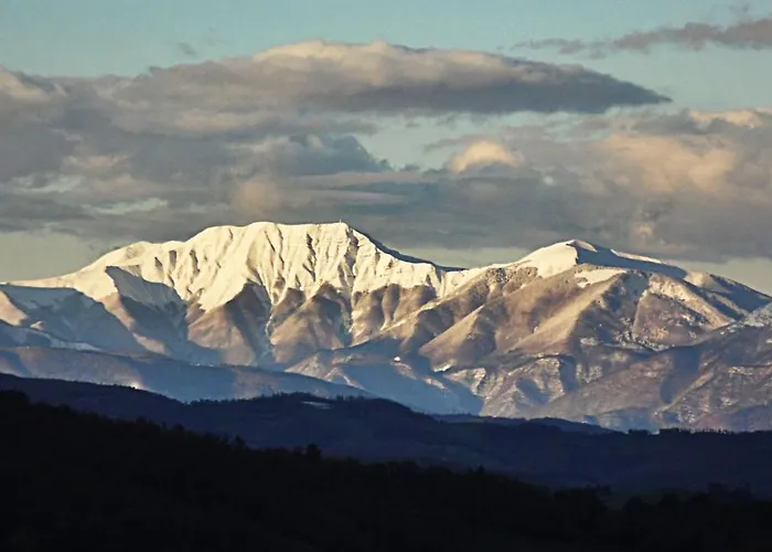Mappamundi San Benedetto Val di Sambro