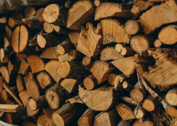 Mappamundi San Benedetto Val di Sambro