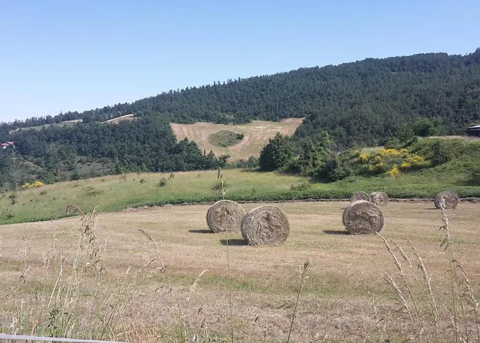Mappamundi San Benedetto Val di Sambro
