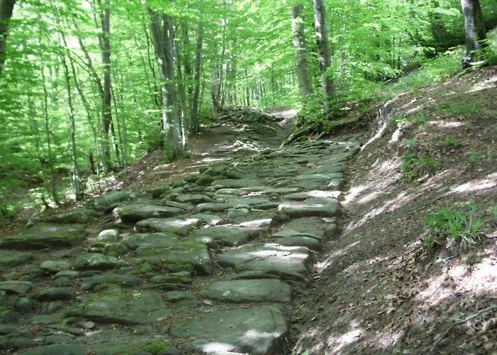 Mappamundi Frühstückspension