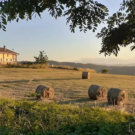 Mappamundi San Benedetto Val di Sambro