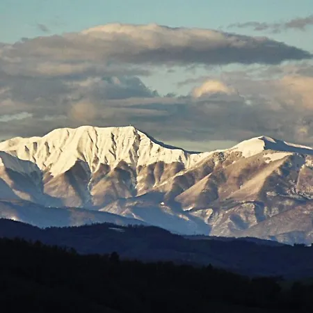 Mappamundi 산 베네데토 발 디 삼브로