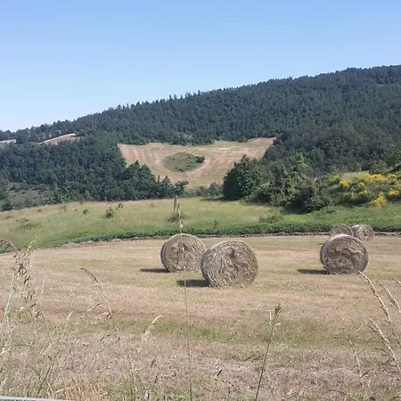 Mappamundi San Benedetto Val di Sambro