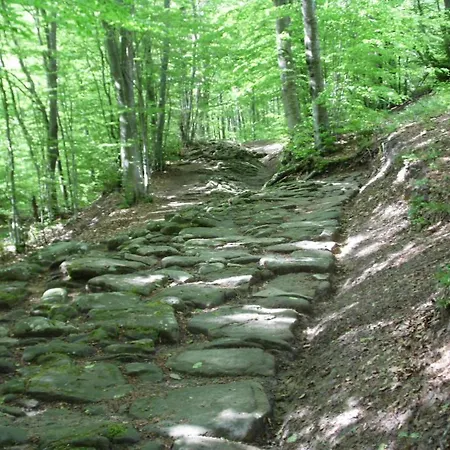 Mappamundi לינה וארוחת בוקר