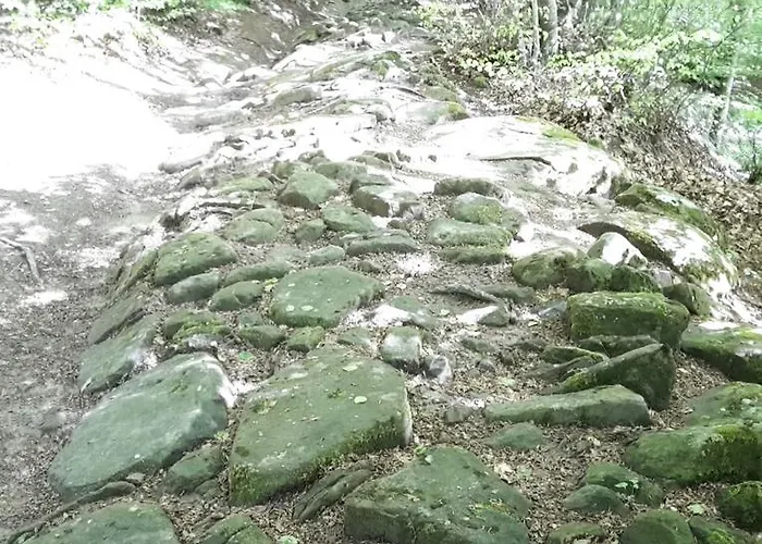 Mappamundi 3* San Benedetto Val di Sambro